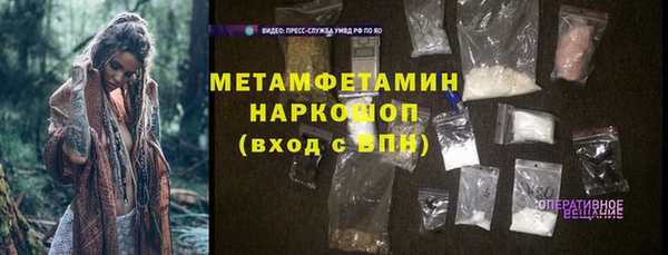 прущие грибы Володарск