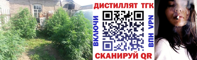 Дистиллят ТГК Wax  MEGA онион  Дубна  магазин продажи  