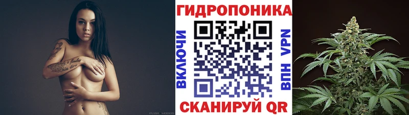 где продают   Дубна  Бошки марихуана MAZAR 